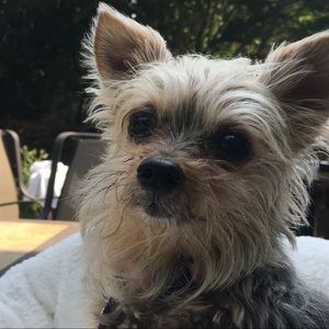 Meet your Posher, Tony